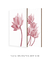 Quadros Decorativos Flor de Lótus - Composição com 2 Quadros - comprar online