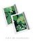 Quadros Decorativos Folhagens Verdes - Composição com 2 Quadros na internet