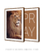 Quadros Decorativos Leão e Pray - Composição com 2 Quadros na internet