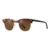 Lentes de Sol Ray-Ban Clubmaster 3016 1160 Carey-Dorado/Marron Liso