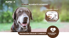 NUPEC ALIMENTO HÚMEDO PERRO SENIOR 4 CHAROLAS 100g c/u en internet