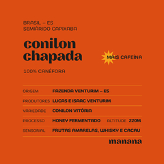 Café Conilon Chapada - comprar online