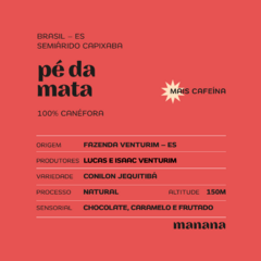 Café Pé da Mata - canéfora - comprar online
