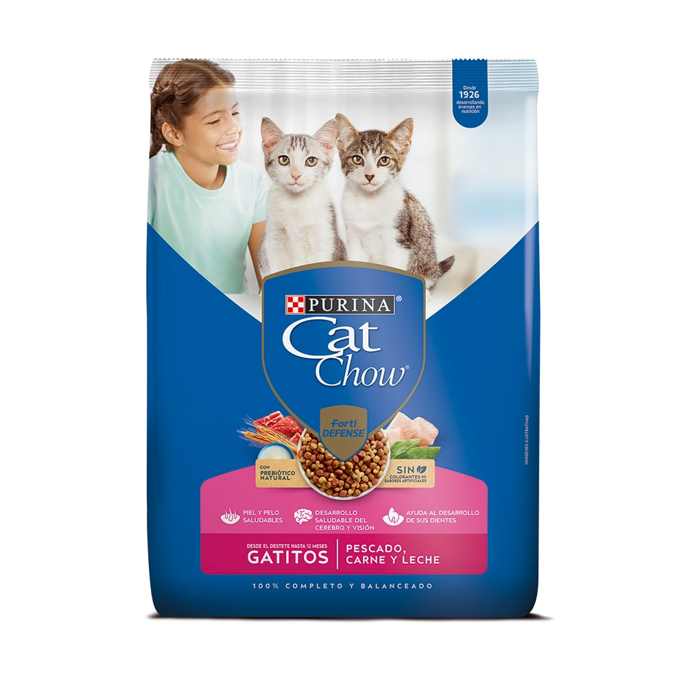 Best 2025 kitten chow