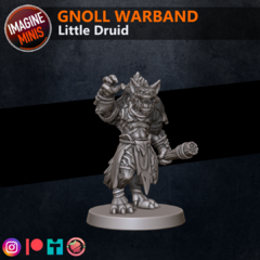 Gnoll Warband Little Druid