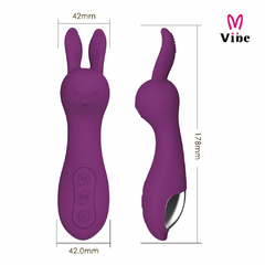 02100 | Vibrador com estimulador em orelhas para estimulo melhor e mais preciso da região do clitóris - VIBE - loja online