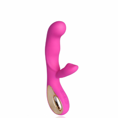 11357 | Vibrador Recarregável Ponto G com Estimulador Clitoriano e Alça Metalizada – SEX ANGEL II – VR-036 na internet