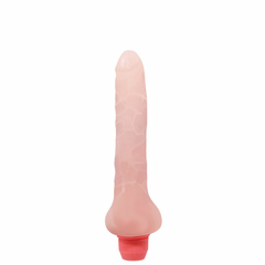 02797 | Vibrador Flexível Formato Pênis com Vibração Multivelocidade – FLEXI VIBE SENSUAL SPINE – BW-007104G - comprar online