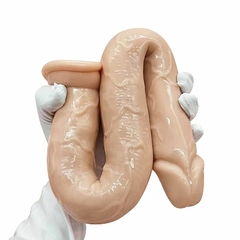 23596 | Pênis Realístico em Silicone com Ventosa - 46,0x4,5 cm - SI - comprar online