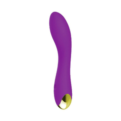 00482 | Vibrador Recarregável ponto G com 20 Modos de Vibração - Dibe Madhu - comprar online