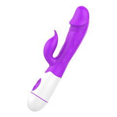 02259 | Vibrador Recarregável com Estimulador de Clitóris com 10 Vibrações - Roxo na internet