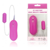 01351 | Mini Cápsula com 10 Vibrações Impulse - 10 Function Bullet Vibrator - Roxo