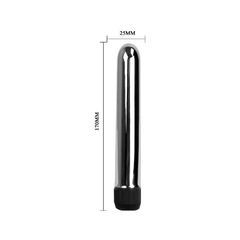 02151 | Vibrador Personal Multivelocidade de 17 cm Cromado - Passion Vibrator - loja online