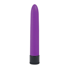 02158 | Vibrador Personal Liso em ABS Atóxico com Vibração Multivelocidade - 18cm - Purple - comprar online