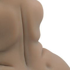 Imagem do 04646 | Masturbador Masculino Cyberskin em Formato de Meio Corpo com 2 Vagina e Anus Penetráveis - Maig - Marrom