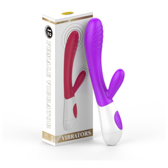 03946 | Vibrador Recarregável Com Estimulador de Clitoris, 12 Modos de Vibrações e Controle de Velocidade - Vibrators - Roxo