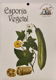 SEMILAS DE ESPONJA VEGETAL FLORES en internet