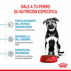 Alimento para Perro Maxi Puppy - 15 Kg - Royal Canin - Campo y Ciudad | Farmacia Agroveterinaria