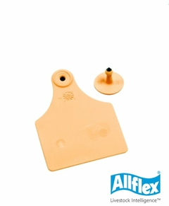 ALLFLEX Maxi Naranja lisa x 25 Un