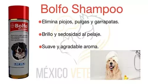 Shampoo antipulgas para perros y gatos