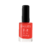 Imagen de ESMALTE 21 FREE - 10 ml