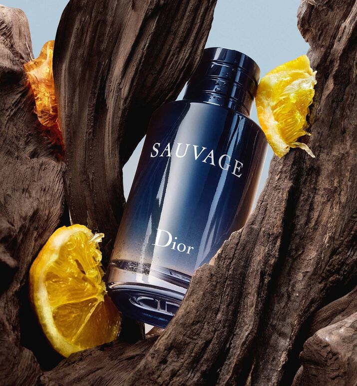 Sauvage Dior Perfumaria Salamanca