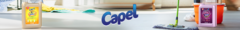 Banner da categoria CAPEL