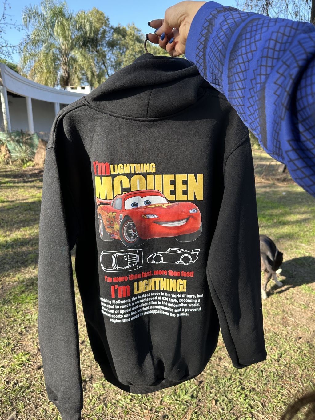 Buzo Rayo mcqueen Comprar en regalos de amor
