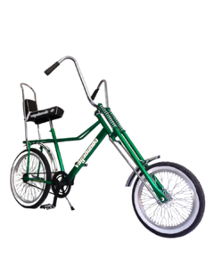 Bicicleta Vagabundo Verde Eléctrico MyBikeMx - MyBikeMx