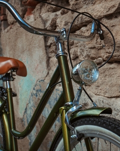 Bicicleta Vintage Urbana Cactus MyBikeMx en internet