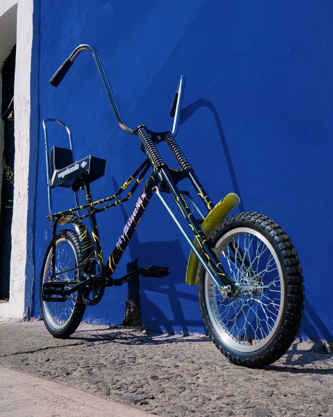 Bicicleta Vagabundo