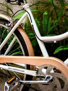 Bicicleta Vintage Urbana Floridita MyBikeMx en internet