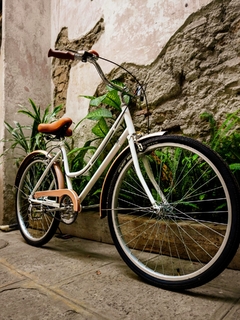 Bicicleta Vintage Urbana Floridita MyBikeMx - comprar en línea