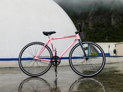 Bicicleta Ultraligera Urbana 700 Rosa Champaña MyBikeMx en internet