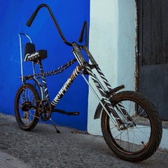 Bicicleta Vagabundo Wild Rider Bicolor MyBikeMx - comprar en línea