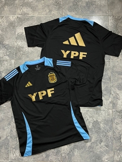 REMERA ENTRENAMIENTO AFA BORDADA - tienda online