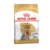 Royal Canin Yorkshire Terrier adulto