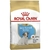 Royal Canin Jack Russell puppy 3 kg