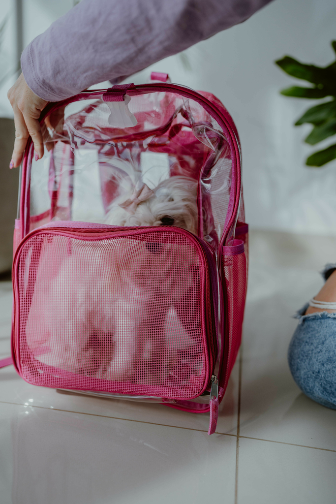 Mochila transparente con red