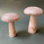 2 Cogumelos de Madeira Naturais