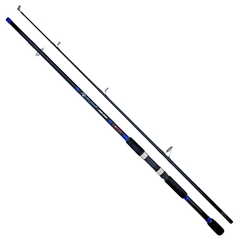 Caña CASTER Valiant 2.40m Variada Pesada 100-200g - comprar online