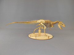 Tyrannosaurus rex Escala 1:20 - buy online