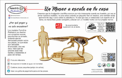 Herrerasaurus ischigualastensis Scale 1:10