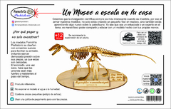 Image of Megaraptor namunhuaiquii Scale 1:20