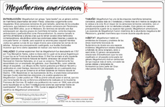 Magatherium americanum Scale 1:20 - FormArte Prehistoric