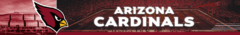 Banner da categoria Arizona Cardinals
