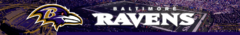 Banner da categoria Baltimore Ravens