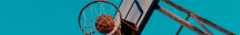 Banner da categoria Bolas NBA