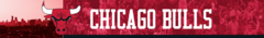 Banner da categoria Chicago Bulls