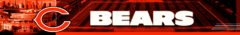Banner da categoria Chicago Bears